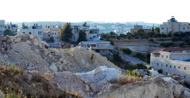 Vista de Palestina / L.L.R