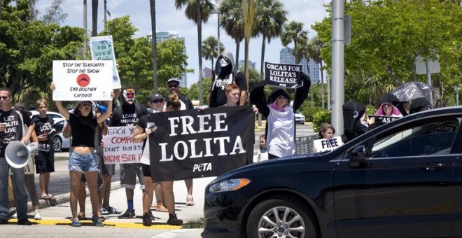 Varios manifestantes protestan junto al Seaquarium de Miami para pedir que liberen a la orca 'Lolita' en Miami, Estados Unidos, hoy, 8 de agosto de 2017. Activistas de la organización animalista PETA piden que la orca 'Lolita' reciba refugio en un santuar