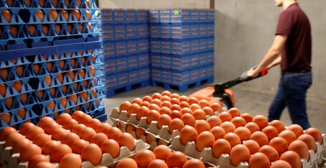 Huevos empaquetados listos para enviar en una granja de Wortel, Bélgica. REUTERS/Francois Lenoir