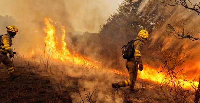 Un operario de los servicios de extinción trabaja junto a las llamas que avanzan en la localidad de Constante, Lugo.EFE/Eliseo trigo