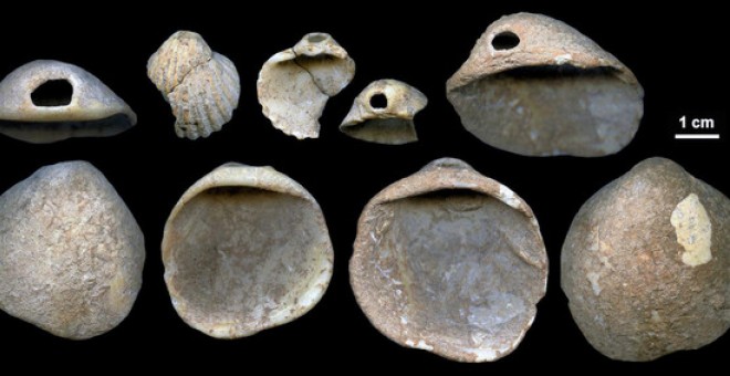 Conchas perforadas descubiertas en los sedimentos de la cueva de los Aviones de entre 115.000 y 120.000 años / J. Zilhão