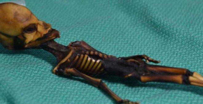El esqueleto, de 15 centímetros de largo y con la cabeza en forma de cono, fue descubierto tras una iglesia en el desierto chileno de Atacama. | ARCHIVO