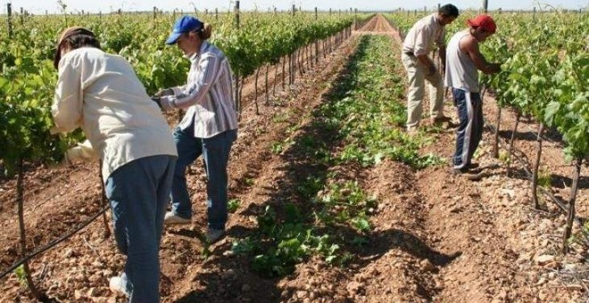 Trabajadores del campo. E.P.