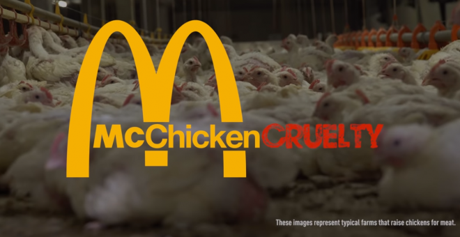 Imagen del vídeo de la campaña contra la empresa Mcdonalds