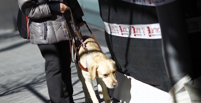 Varias comunidades han regulado de manera específica el empleo de perros guía.