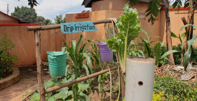 La irrigación por goteo es una técnica que permite ahorrar mucha agua y mejorar la productiva de los cultivos. - PABLO L. OROSA