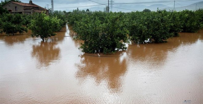 Las lluvias caídas sobre el norte de la provincia de Castellón, que han llegado a los 250 litros en la comarca del Baix Maestrat han provocado que los campos queden completamente anegados. EFE/ Domenech Castelló