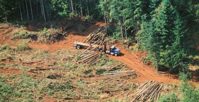 Deforestación en la Amazonía de Brasil. EFE/Archivo