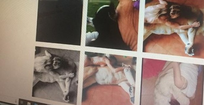 Captura hecha por FAADA en las que se puede ver varias imágenes del león junto a una mujer desnuda.
