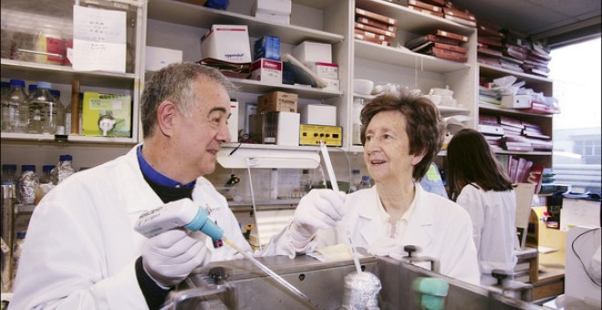 Salas trabajando en el laboratorio. / L’Oréal-Unesco For Women in Science