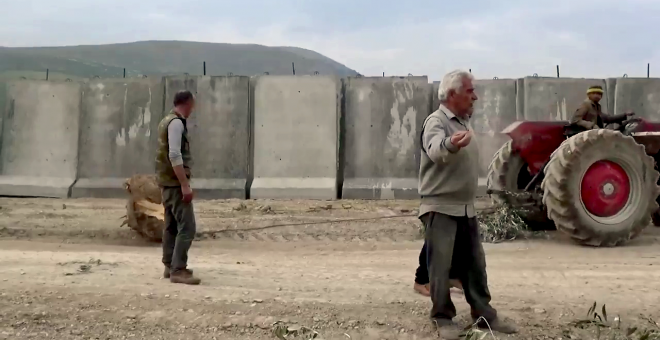 Trabajando en los olivares expoliados de Afrin, junto al muro que los turcos levantaron en su frontera.