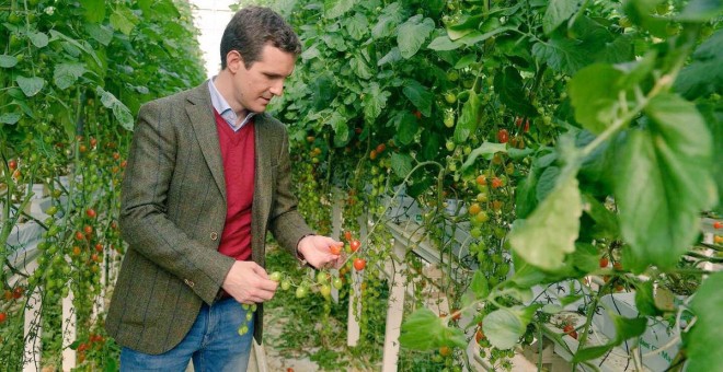 Pablo Casado, de campaña en Andalucía antes de las elecciones del 2D.