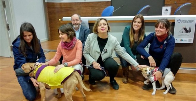 El Ayuntamiento impulsa un programa de voluntariado en el albergue de animales. / EUROPA PRESS