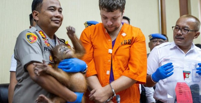 El sospechoso ruso Andrei Zhestkov es escoltado por un policía, con un orangután de dos años en brazos./EFE