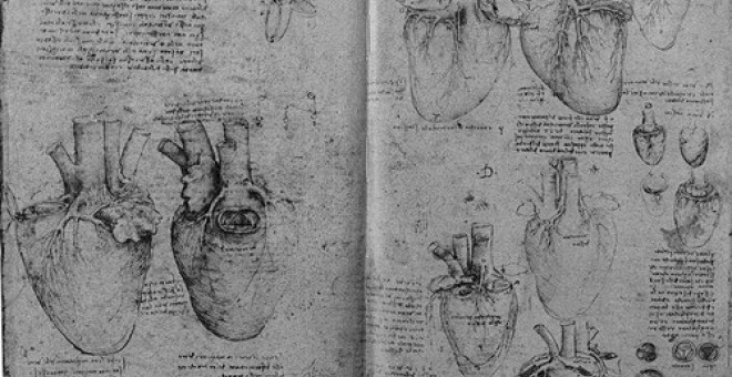Los dibujos de Leonardo da Vinci detallaron la anatomía de muchos órganos, como el corazón.