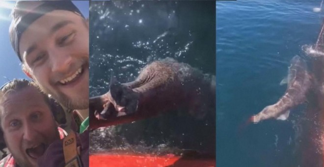 Los dos pescadores que le cortan la cola a un tiburón para burlarse de él en las redes sociales.