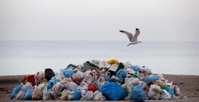 Las playas de la ciudad de A Coruña han amanecido este lunes con toneladas de basura. EFE