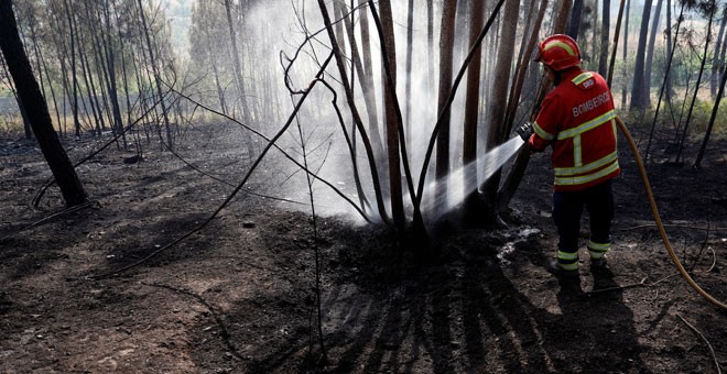 Un bombero extingue un incendio en Mação (Portuga). / RAFAEL MARCHANTE (REUTERS)