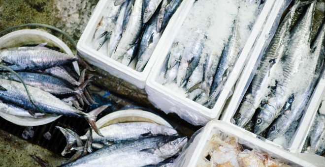 Caixes de peix en una llotja - Photo by chuttersnap on Unsplash