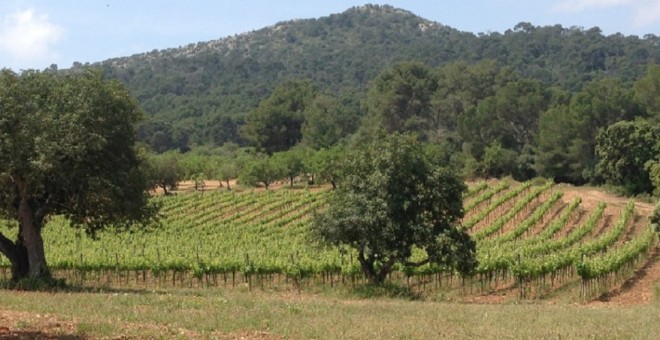 Terres de Can Majoral, a Mallorca. CAN MAJORAL