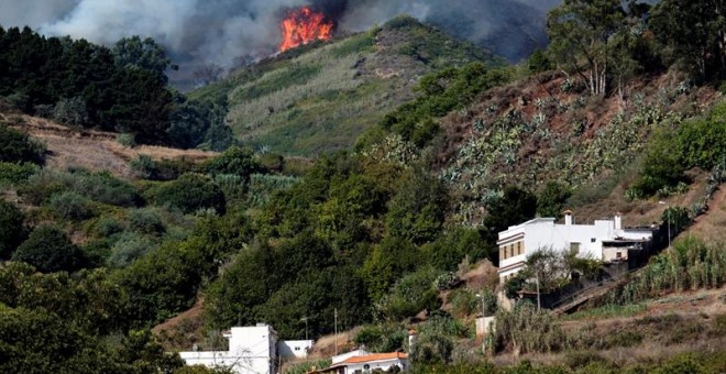 El incendio forestal declarado en Gran Canaria está sin control, es un fuego 'muy virulento', ha provocado el desalojo de unas 4.000 personas de cuarenta núcleos poblacionales y ya ha afectado a entre 1.500 y 1.700 hectáreas. EFE/ Ángel Medina G.