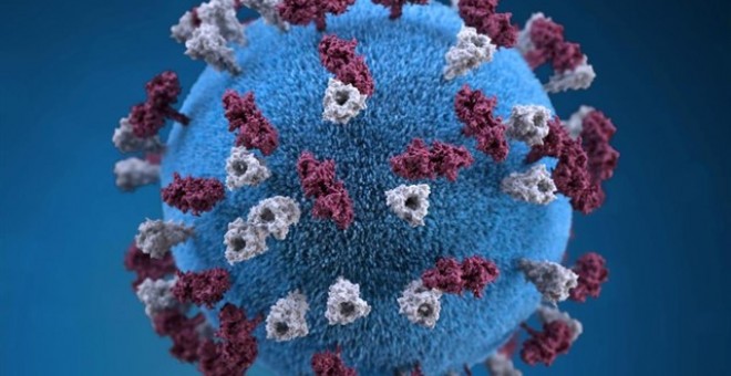 Representación del virus del sarampiónREUTERS / HANDOUT . - Archivo