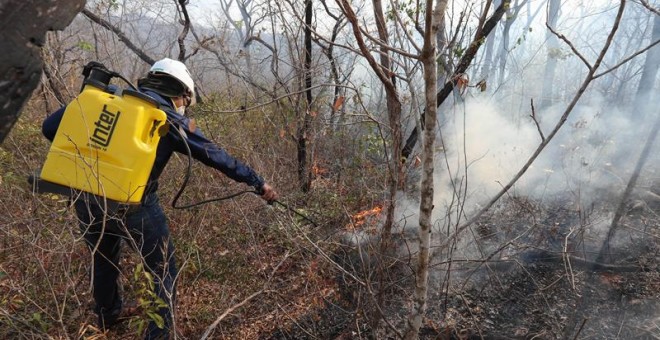 Voluntarios bolivianos aplacan un incendio el 27 de agosto de 2019 en la región de San José de Chiquitos (Bolivia).- EFE