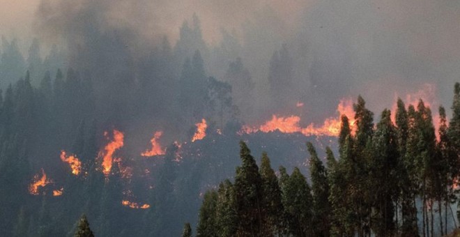 El incendio forestal declarado este jueves en el paraje El Chorrito de Paterna del Campo (Huelva).- EFE/ David Arjona