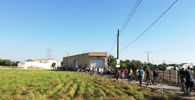 Caminata por la huerta de Alboraia realizada durante estos últimos días./ Per L'Horta