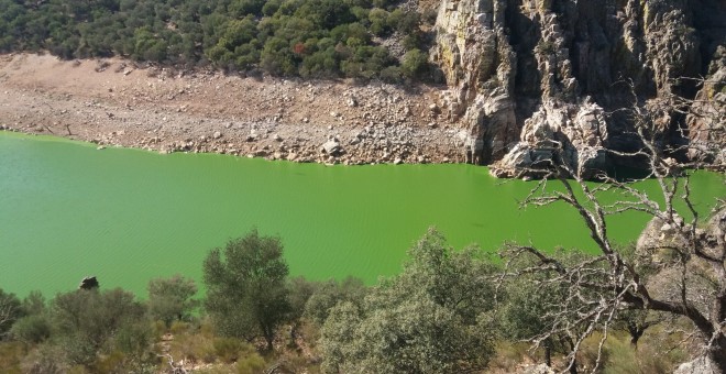 Agua verde en Tajo./Santiago M.Barajas