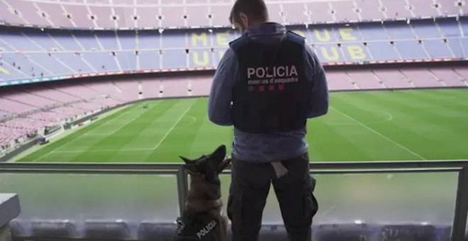 La unidad canina de los Mossos d'Esquadra en el Camp Nou - MOSSOS D'ESQUADRA