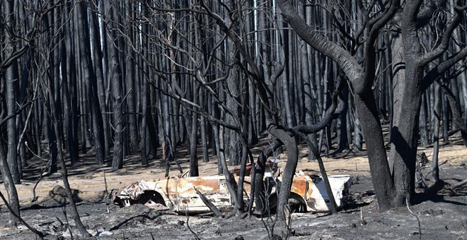 Incendio en la isla Canguro, en Australia. / EFE