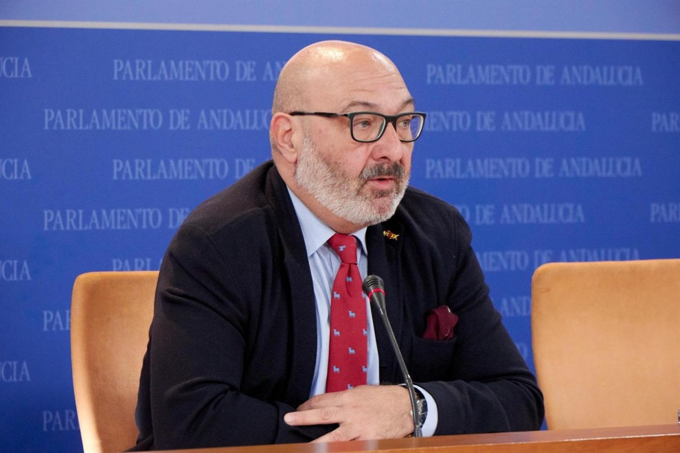 Alejandro Hernández, portavoz de Vox. Europa Press