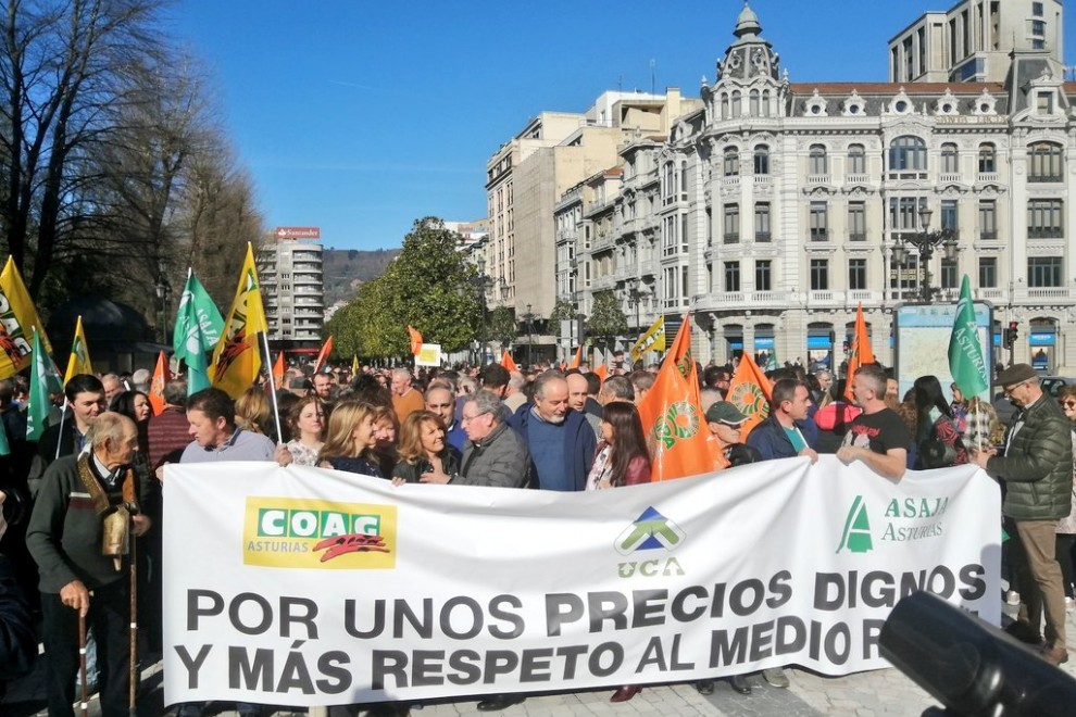 Manifestantes en la concentración de Oviedo. / Twitter-Teresa Mallada De Castro