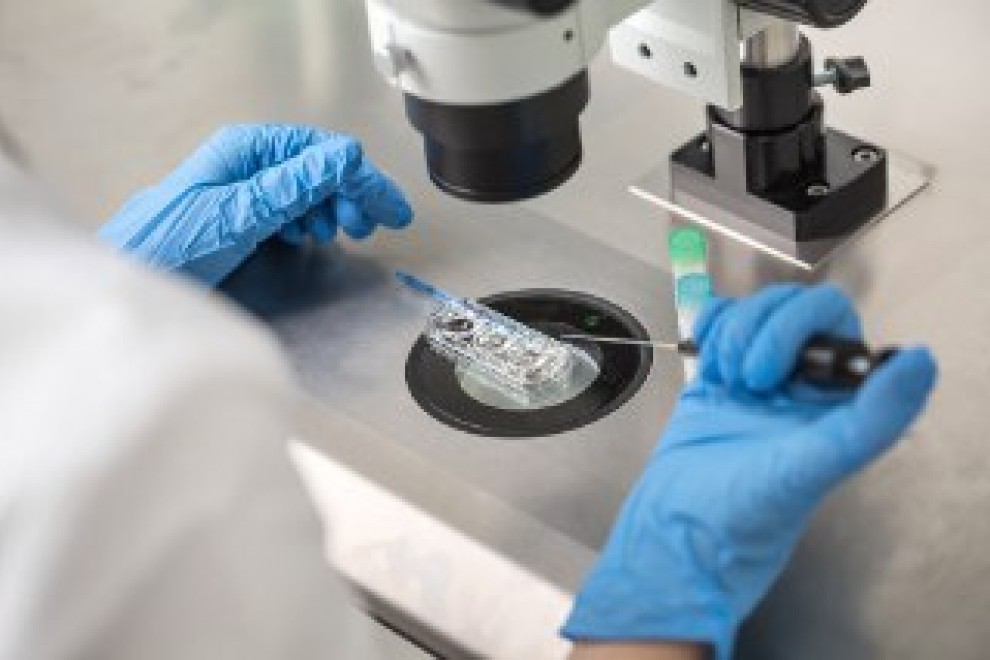 Un técnico controla un proceso de fertilización in vitro utilizando un microscopio. / Bezikus - Archivo