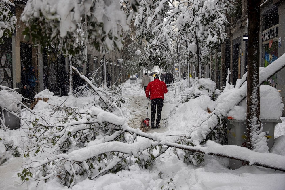 Varias personas pasean por la calle Fuencarral en Madrid, en la que numerosos árboles no han resistido el peso de la nieve.