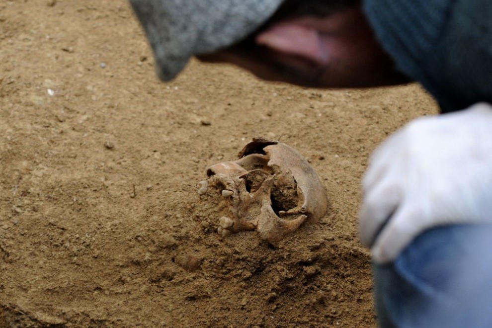 El arqueólogo de la fosa de Gerena descubre uno de los cráneos enterrados. CRISTINA QUICLER (AFP)