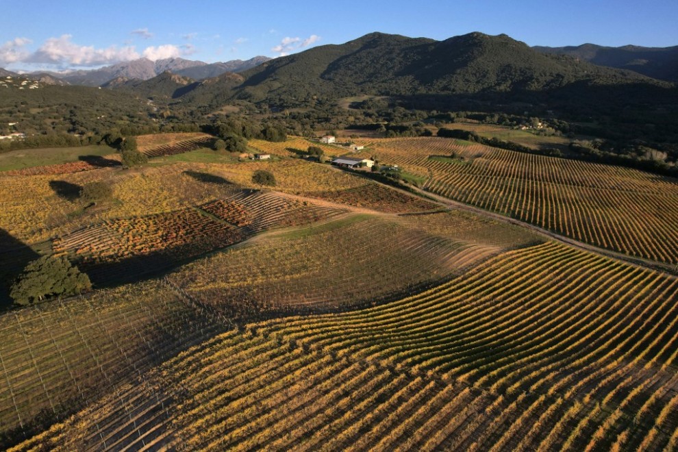 Una vista aérea tomada el 6 de diciembre de 2021 cerca de Ajaccio en la isla mediterránea francesa de Córcega muestra viñedos.