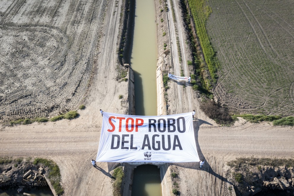 Activistas de WWF despliegan una pancarta en Doñana para denunciar el robo de agua para regadío ilegal.