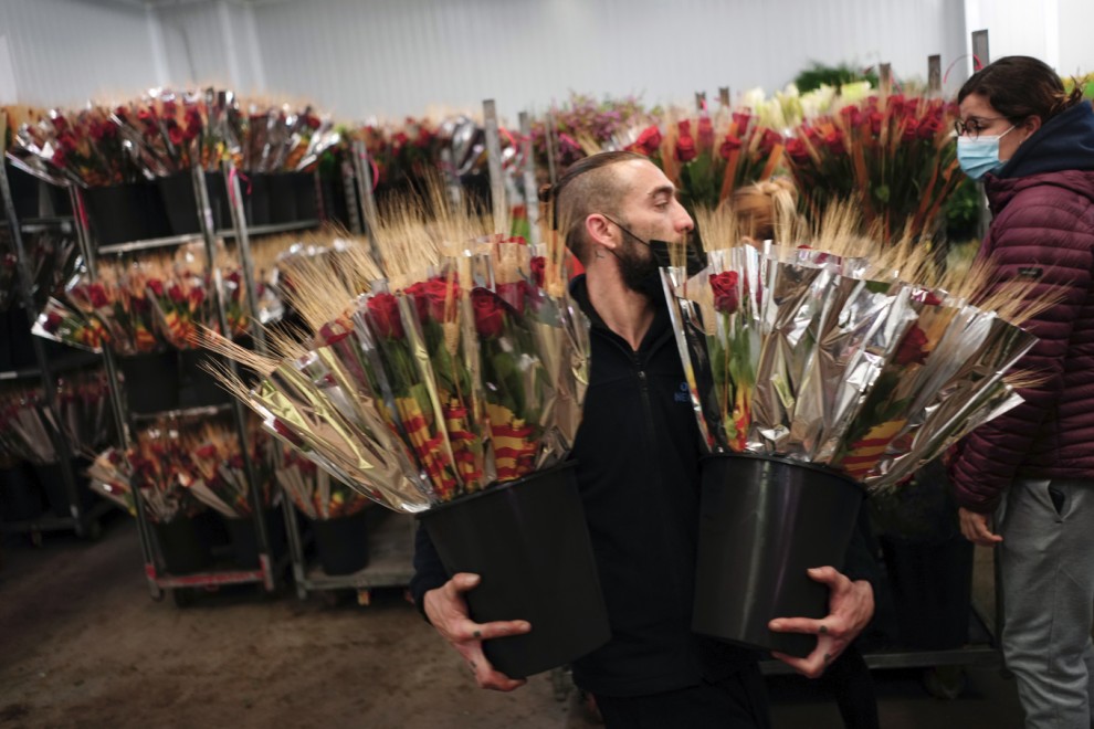 Un florista transporta varias decenas de rosas este jueves en Mercabarna-Flor.