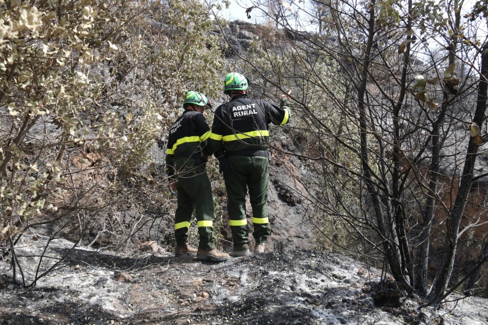 20/06/2022 - Investigadors dels Agents Rurals a la zona on va començar l'incendi de Baldomar, a Artesa de Segre.