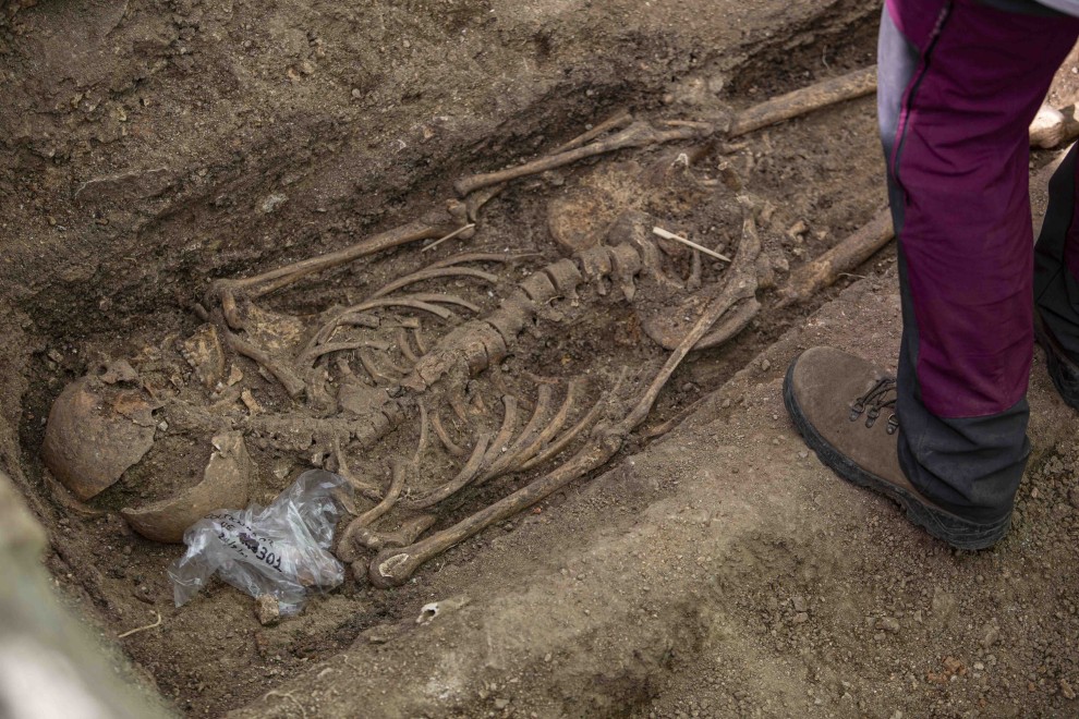 Uno de los cuatro esqueletos hallados en la fosa del cementerio parroquial de Colmenar Viejo, con impacto de bala en mandíbula y cráneo, según los arqueólogos.