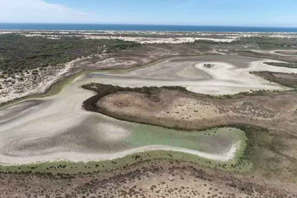 La laguna de Santa Olalla, en Doñana, en una imagen tomada en agosto de 2022