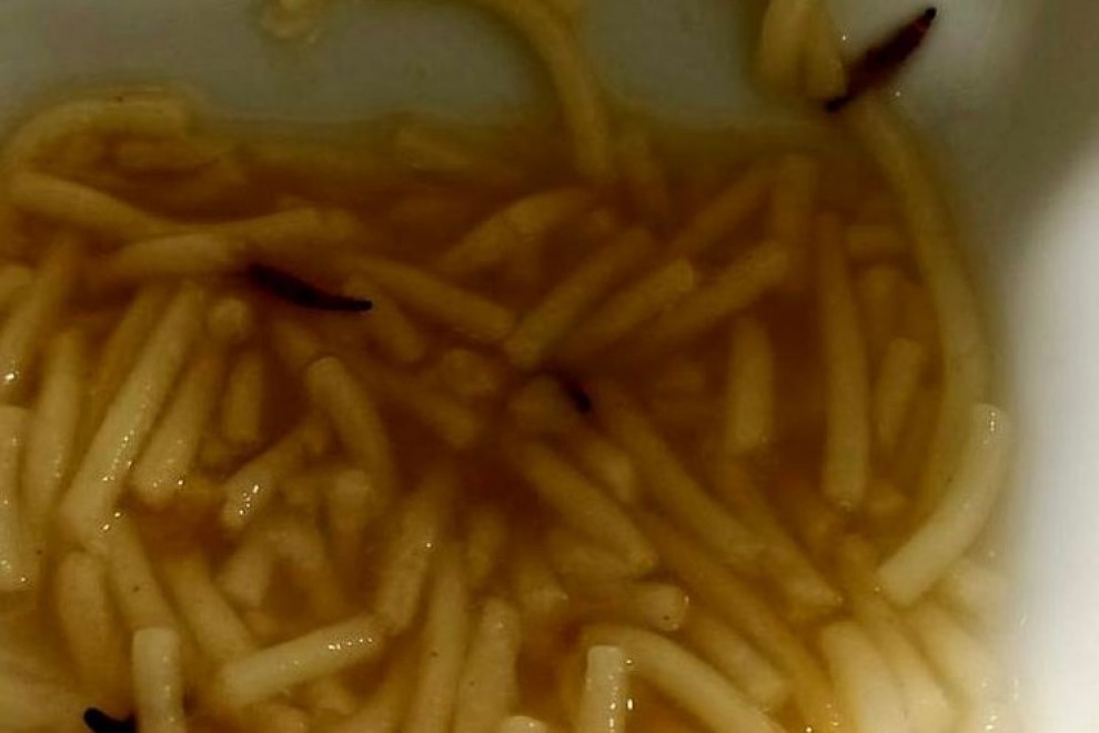 Sopa con gusanos del Hospital de León