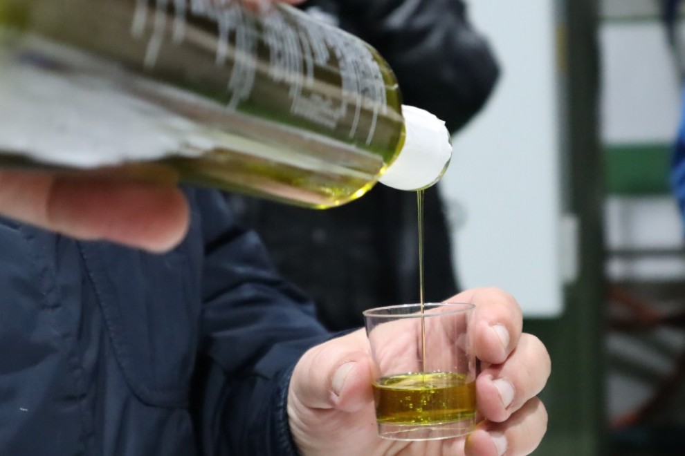 Castilla-La Mancha salva la campaña de aceite de oliva, afianzándose como segunda región productora del país