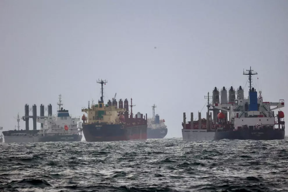Barcos que cargan granos ucranianos esperan la inspección negociada por las Naciones Unidas y Turquía en el Mar Negro