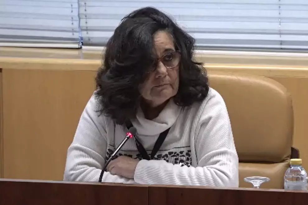 La portavoz de la Asociación por los Derechos de los Mayores y sus Familiares (Ademaf) y de Marea de Residencias, Carmen López, este lunes en la Comisión de Familia y Asuntos Sociales de la Asamblea de Madrid.
