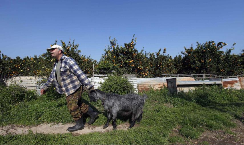 George Andrianakis, de 56 años, lleva una de sus cabras en el patio de su granja en la aldea de Stafania en el área de Peloponeso (21 de marzo 2012). REUTERS / Cathal McNaughton