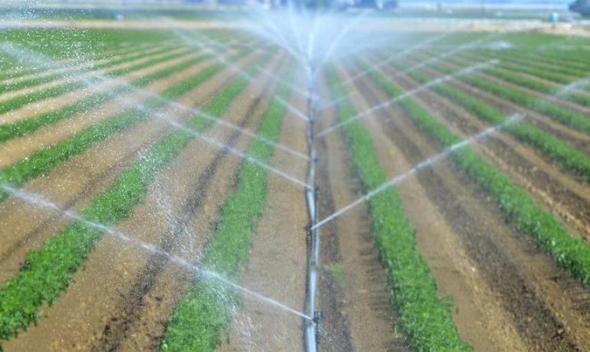 Fotografía de un sistema de aspersión en un sembrado de tomates hoy, lunes 6 de abril de 2015, cerca de Bakersfield, California (EE.UU.)./ EFE / Michael Nelson