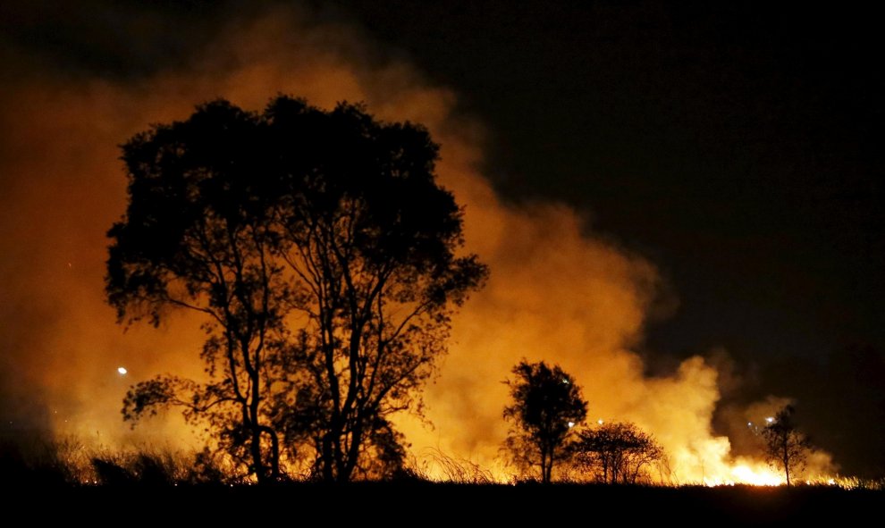 Un incendio en una zona forestal en las afueras de Palembang en la isla indonesia de Sumatra, 9 de septiembre de 2015. REUTERS / Beawiharta